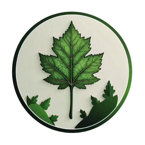 SSDC Icon